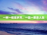 一树一桩皆岁月，一盆一景亦人生