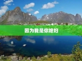 因为我是你媳妇