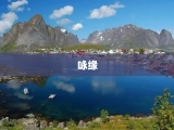 咏缘