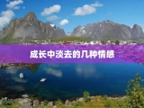 成长中淡去的几种情感