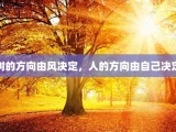 树的方向由风决定，人的方向由自己决定