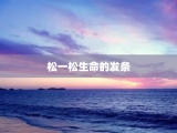 松一松生命的发条