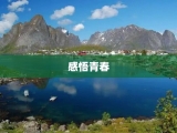 感悟青春