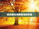 成功源自独辟蹊径的创造
