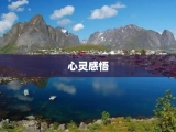 心灵感悟