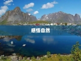 感悟自然