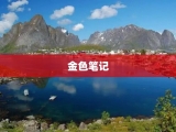 金色笔记