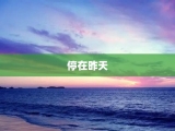 停在昨天