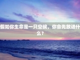 假如你生命是一只空碗，你会先放进什么？