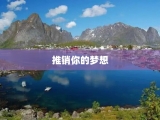 推销你的梦想