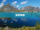 设定目标