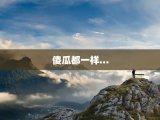 傻瓜都一样…