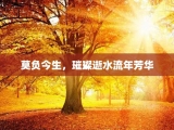 莫负今生，璀璨逝水流年芳华