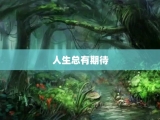 人生总有期待