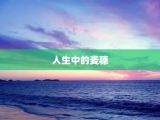 人生中的麦穗