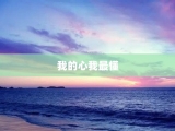 我的心我最懂