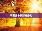 不要像小象那样挣扎