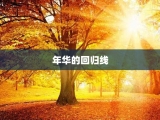 年华的回归线