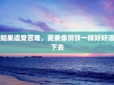 如果遭受苦难，更要像钢铁一样好好活下去
