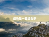 成功是一套组合拳