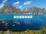 斜风细雨赏落花