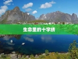 生命里的十字绣