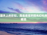 蓝天上的彩虹，竟是受挫的阳光幻化的精灵