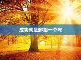 成功就是多拐一个弯