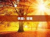 铁凝：嫦娥