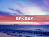 爱的心里战术