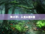 黄小平：人生A面B面