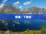 宗璞：丁香结