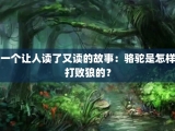 一个让人读了又读的故事：骆驼是怎样打败狼的？