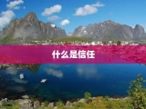 什么是信任
