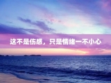 这不是伤感，只是情绪一不小心