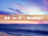 就是“这一年”，我们真的懂了