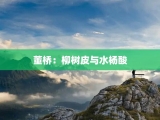 董桥：柳树皮与水杨酸