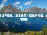 看世界变迁，草木枯荣；叹光阴似箭，岁月磋砣