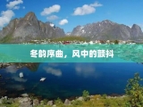 冬韵序曲，风中的颤抖