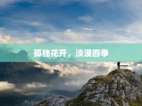 孤独花开，淡漠四季