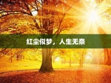 红尘似梦，人生无奈