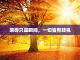 荣辱只是瞬间，一切皆有转机