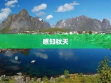 感知秋天