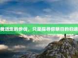 我远走的步伐，只是探寻你明日的归途