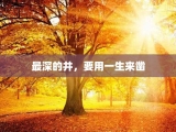 最深的井，要用一生来凿