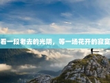 看一段老去的光阴，等一场花开的寂寞