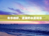 年华细碎，遗漏的半夏锦年