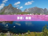 茅盾：春蚕