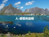 人-感情的动物
