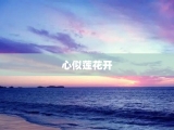 心似莲花开